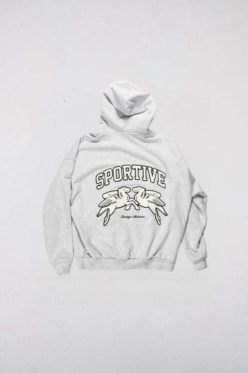 Goodies Sportive ASPEN ZIP HOODIE – Frontansicht